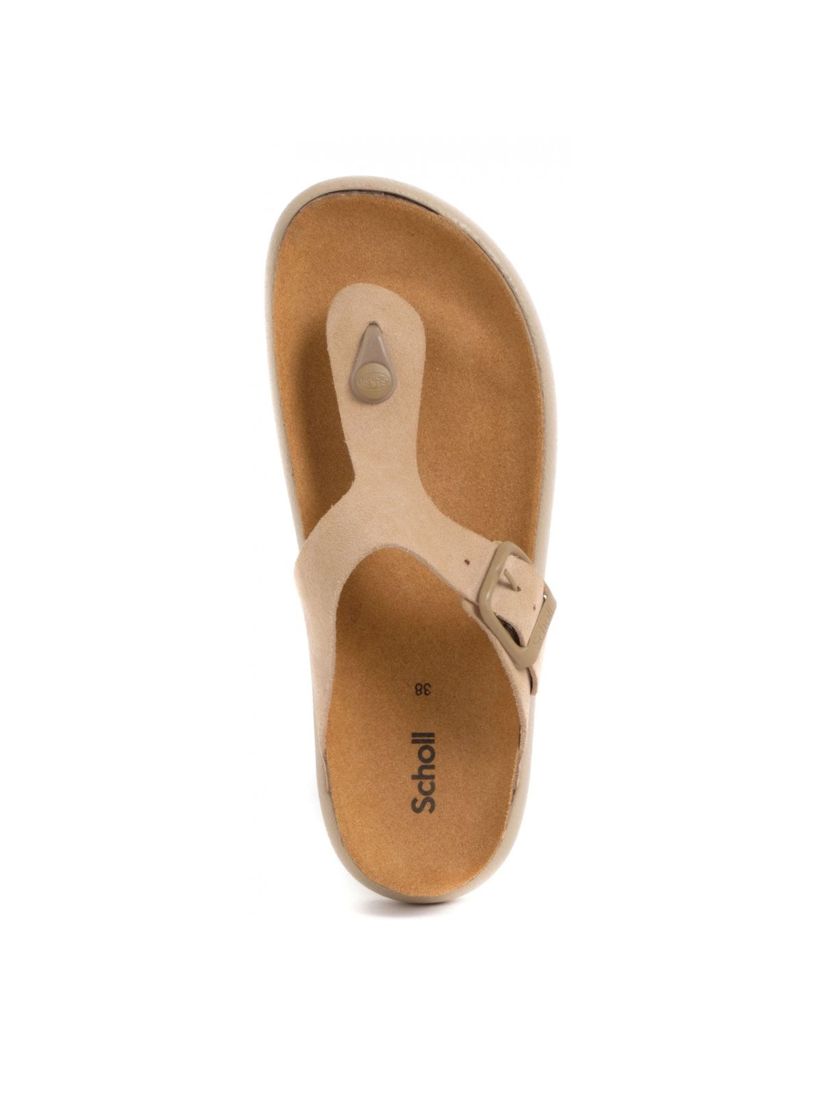 SCHOLL Infradito Donna Anais Chunky F311321002 Beige - Stilato