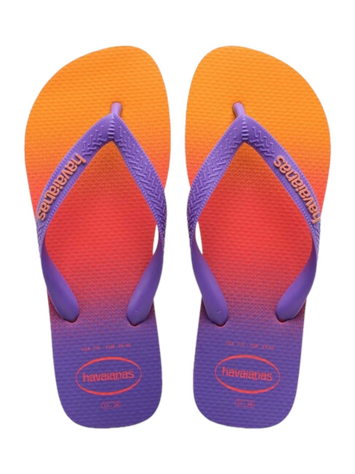 HAVAIANAS Infradito Donna Hav. top fashion 4137258.6024 Viola - Stilato