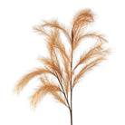 L'Oca Nera Pampas Bronzo- 1P161 - Stilato