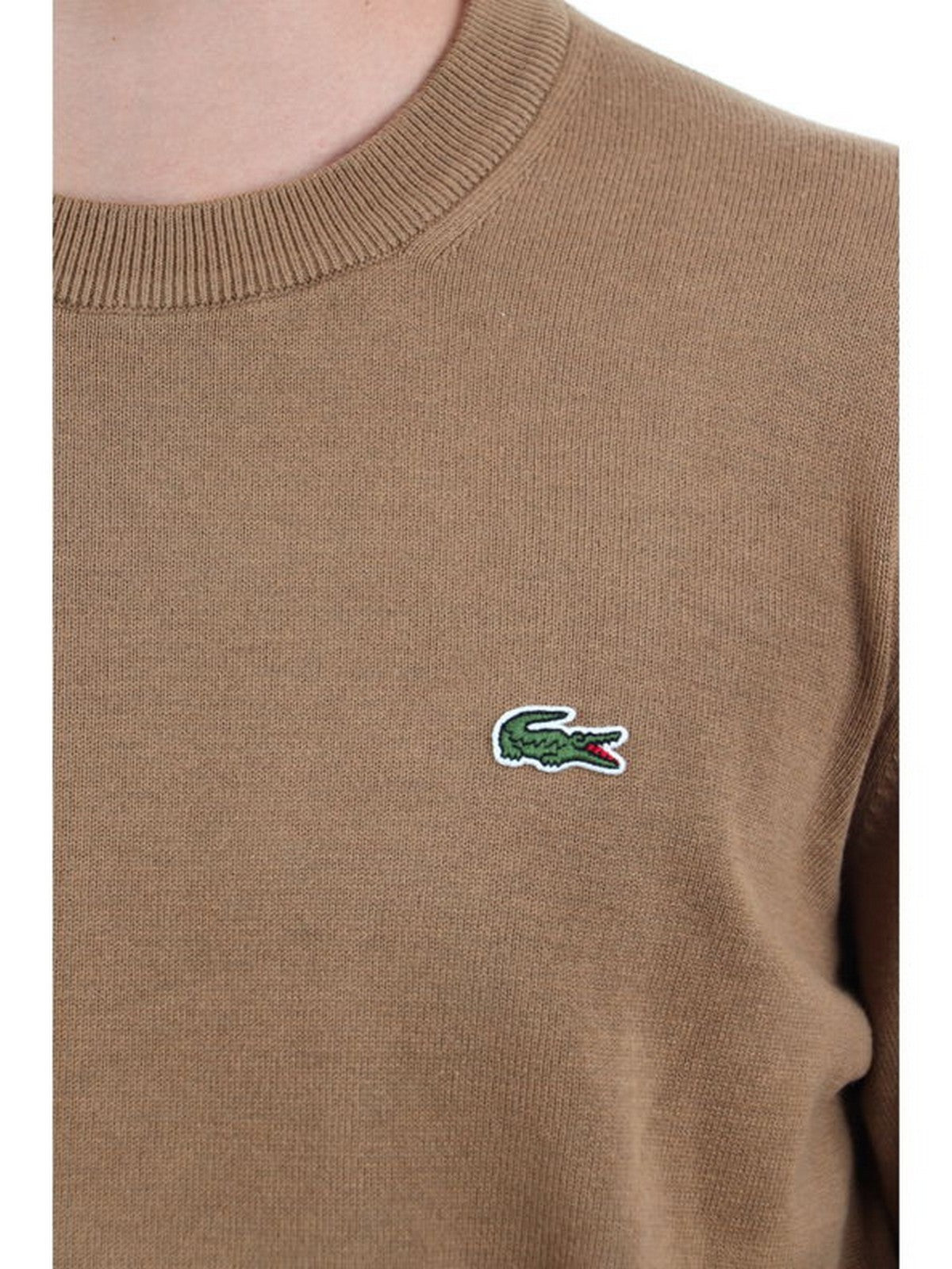 Lacoste marrone hotsell